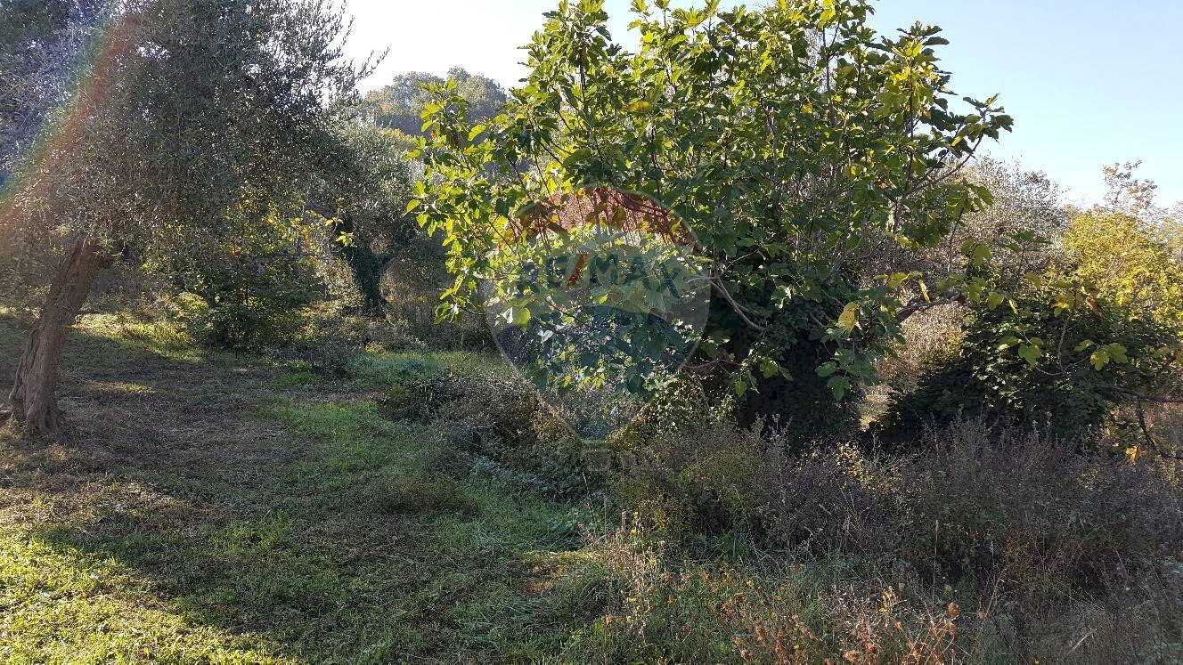 Giardino - Rustico Via Turri
 
39, Ari - foto 3