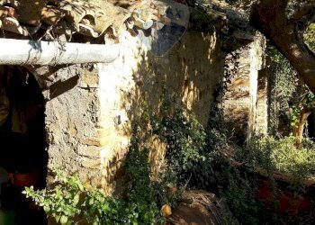 Giardino - Rustico Via Turri
 
39, Ari - foto 7