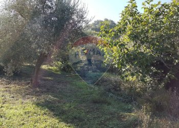 Giardino - Rustico Via Turri
 
39, Ari - foto 11