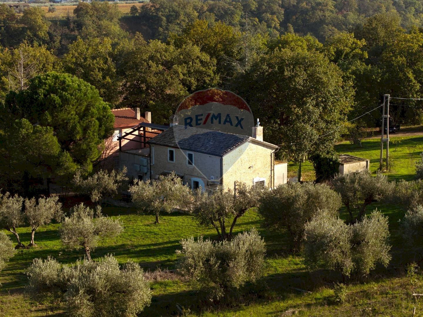 Giardino - Rustico Via Mandrelli, Fossacesia - foto 2