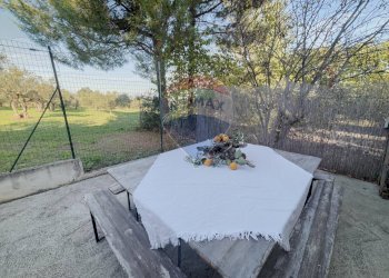 Terrazza - Rustico Via Mandrelli, Fossacesia - foto 19