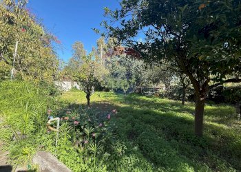 Giardino - Villa Contrada Castelluccio, Augusta - foto 8