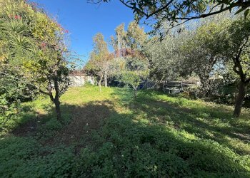 Giardino - Villa Contrada Castelluccio, Augusta - foto 9