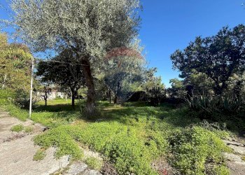 Giardino - Villa Contrada Castelluccio, Augusta - foto 22