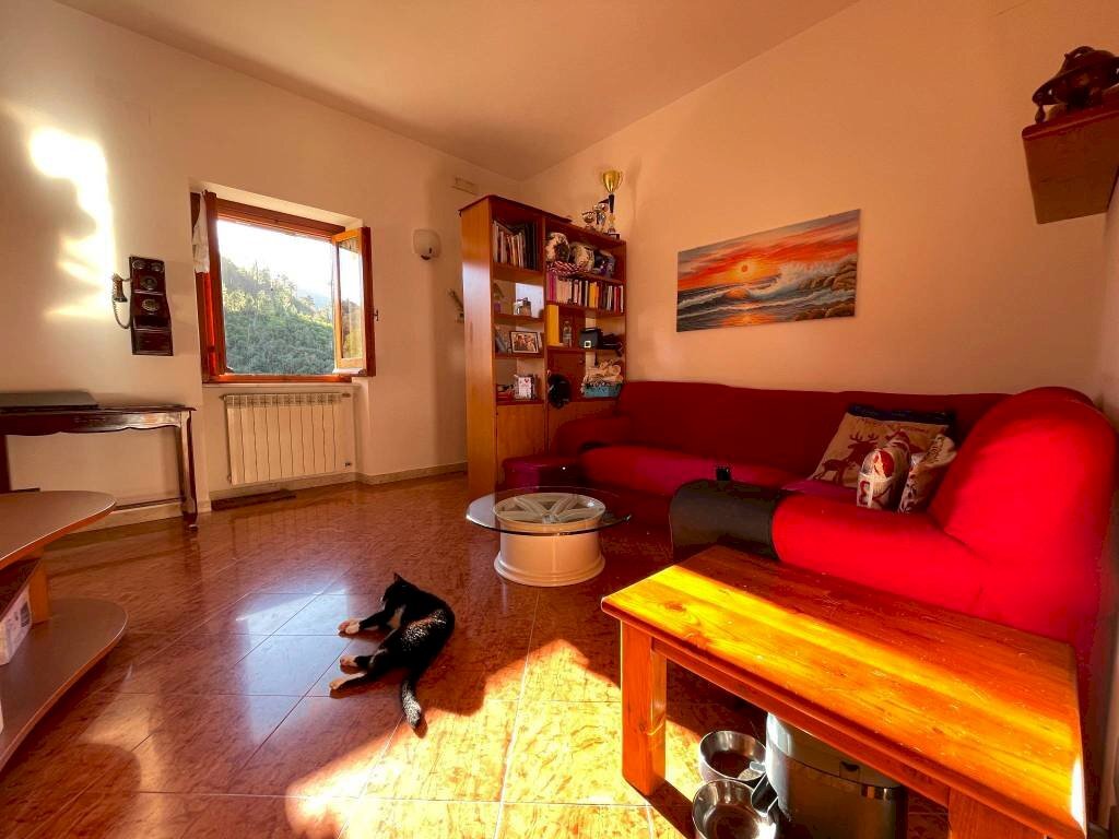 Salone - Bilocale salita alla Chiesa di Fontanegli, 21, Genova (zona Struppa) - foto 2