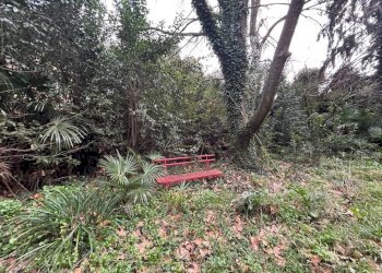 Terreno - Stabile - Palazzo via Piero Calamandrei, Sant'Olcese - foto 9