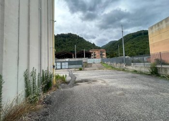 Zona - Capannone via Orti, Isola del Cantone - foto 8