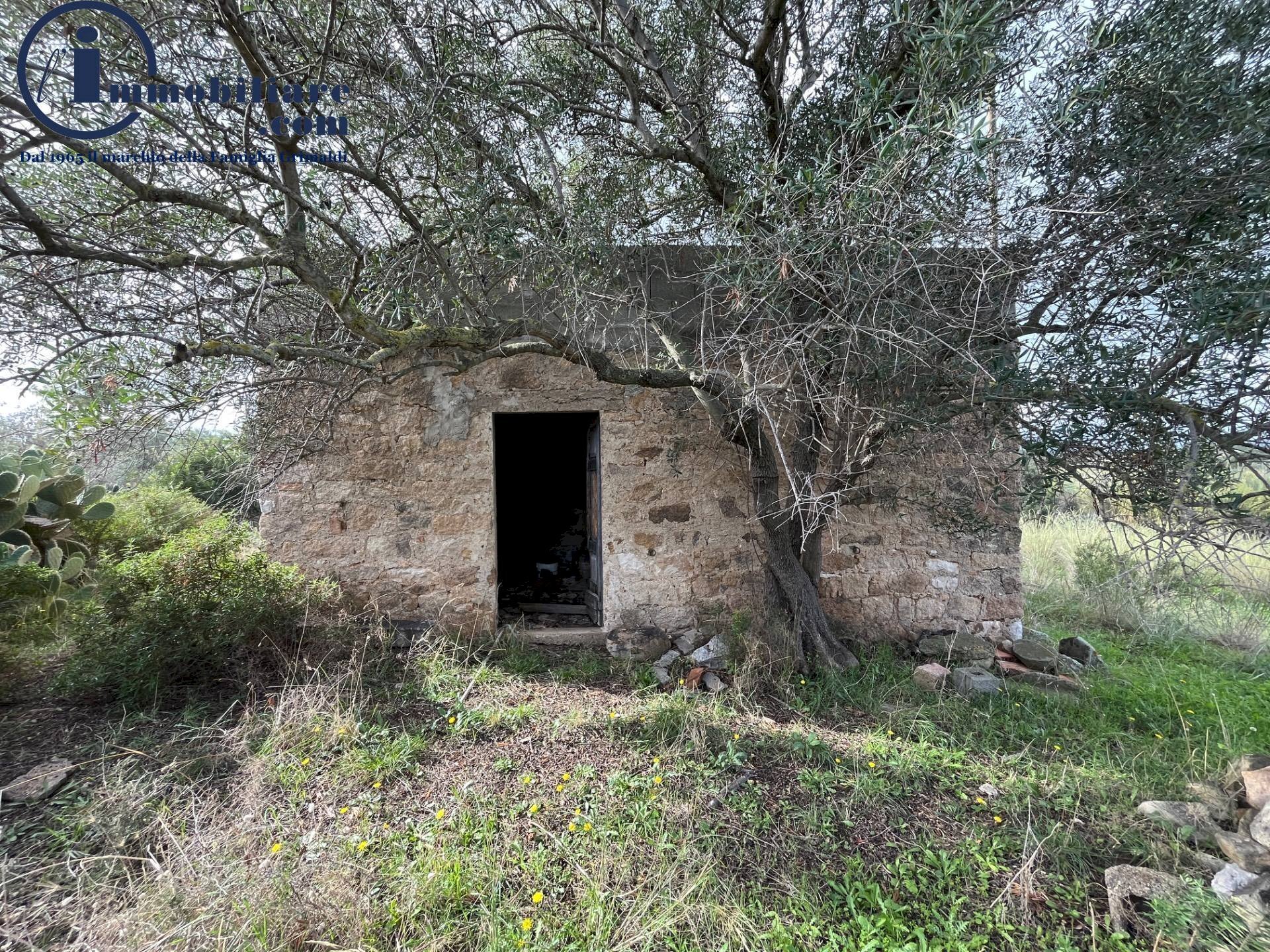 Foto 1 - Terreno agricolo regione perducciu, Girasole - foto 1