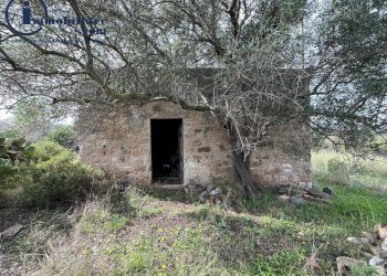 Foto 1 - Terreno agricolo regione perducciu, Girasole - foto 1