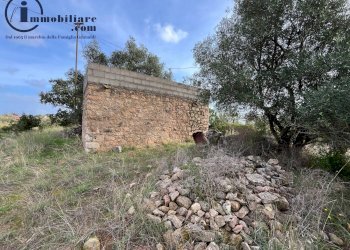 Foto 2 - Terreno agricolo regione perducciu, Girasole - foto 2