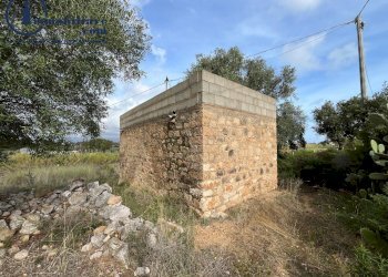 Foto 3 - Terreno agricolo regione perducciu, Girasole - foto 3