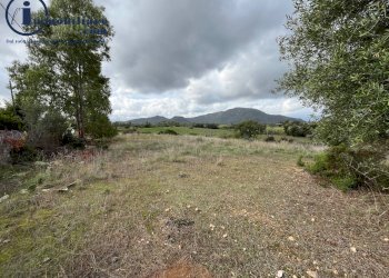 Foto 5 - Terreno agricolo regione perducciu, Girasole - foto 5