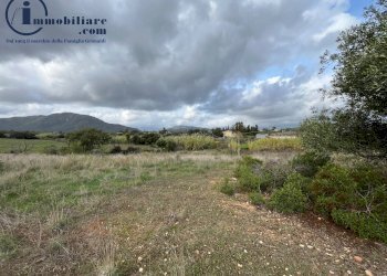 Foto 6 - Terreno agricolo regione perducciu, Girasole - foto 6