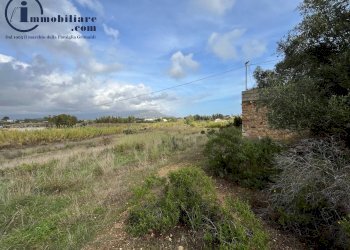 Foto 7 - Terreno agricolo regione perducciu, Girasole - foto 7