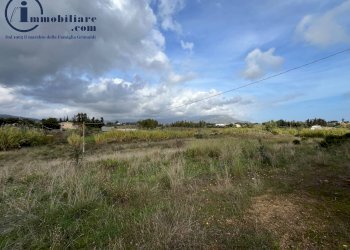 Foto 8 - Terreno agricolo regione perducciu, Girasole - foto 8