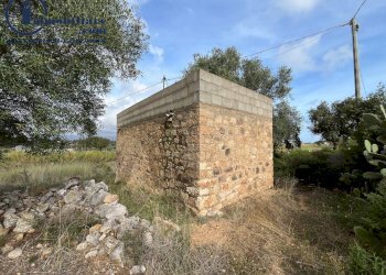 Foto 10 - Terreno agricolo regione perducciu, Girasole - foto 10