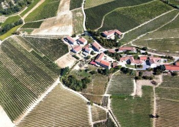 Terreno - Rustico via Meruzzano, 30, Treiso - foto 10