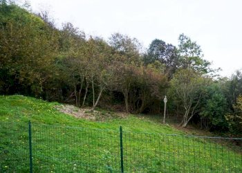 Terreno - Bilocale via Capoluogo, Fraconalto - foto 15