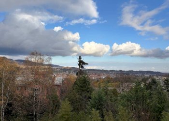 Vista - Appartamento strada degli Inversegni, 4, Luserna San Giovanni - foto 23
