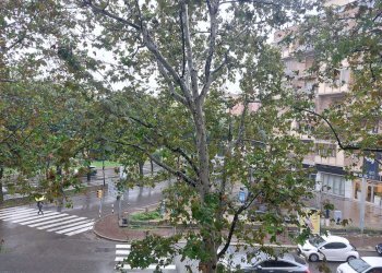 vista ufficio 1 - Ufficio via Amedeo Parmeggiani, Bologna (zona Lame) - foto 1