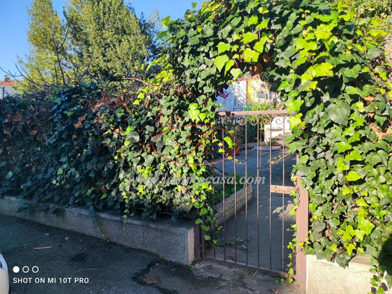 Giardino privato - Bilocale Via Diano Castello 29, Diano Marina - foto 2