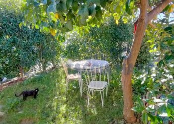 dcae93bf-3dbd-4109-b194-6f7e774c134a.jpg - Three-room apartment Strada Corsa, Imperia - photo 29