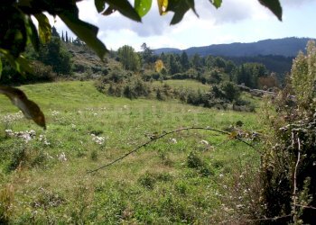 Casale Arcidosso-15.jpg - Casale la serra 57, Arcidosso - foto 18