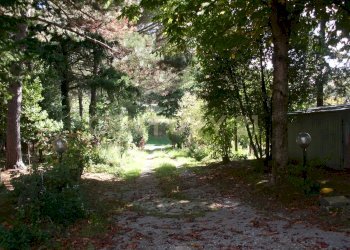 Casale Arcidosso-17.jpg - Casale la serra 57, Arcidosso - foto 20