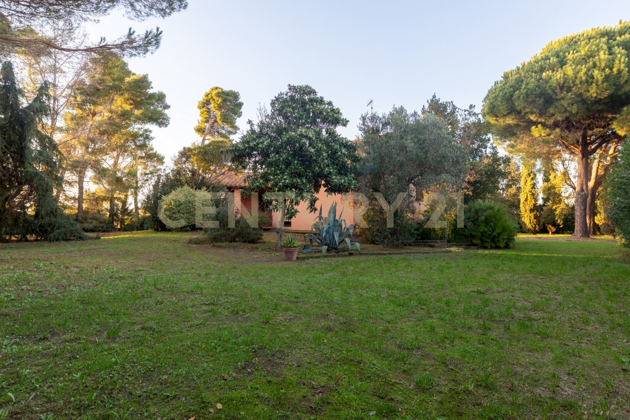 1 (9).jpg - Villa Località Pian d'Alma, Castiglione della Pescaia - foto 2