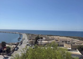 Capannone Marsala - foto 1