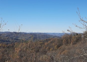 Villetta Cremolino, Cremolino - foto 2