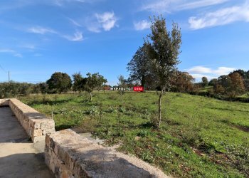 Trullo Contrada Figazzano, Cisternino - foto 23