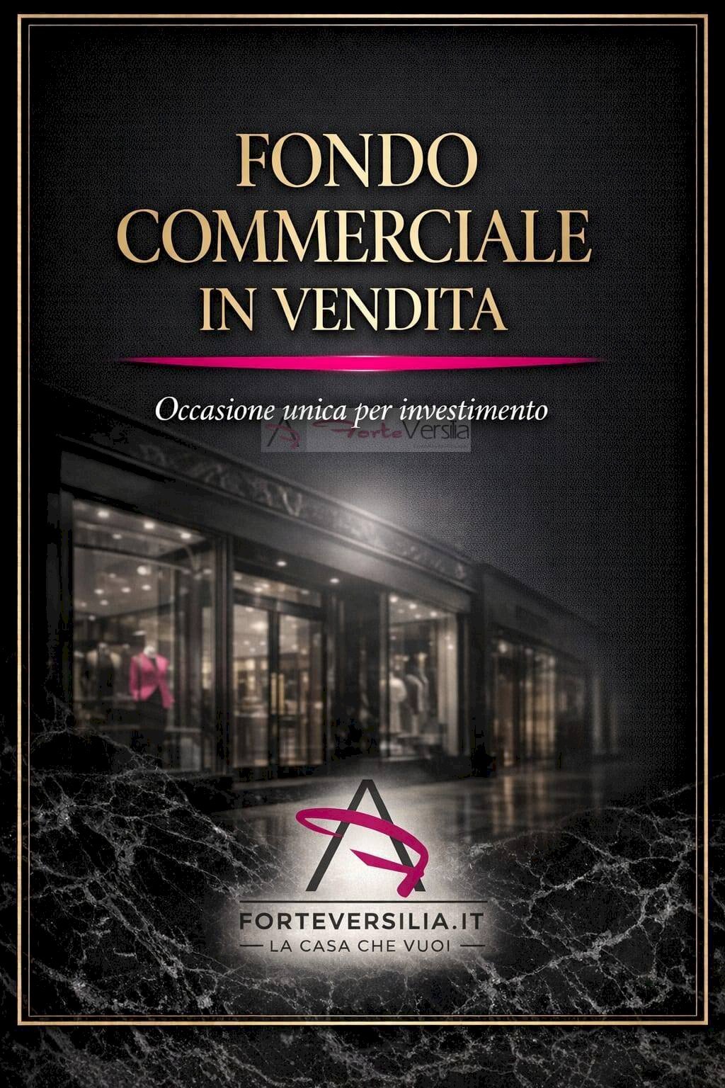Foto 1 - Locale Commerciale Seravezza - foto 1