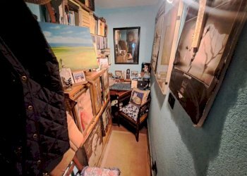 Vista - Rustico Cascinale Dinet, Venasca - foto 19