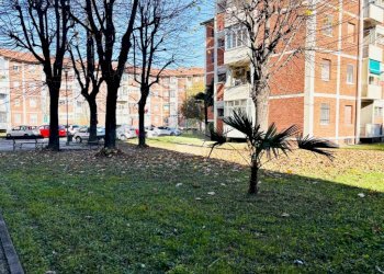 Bilocale Corso Lucio Quinzio Cincinnato, Torino (zona Lucento) - foto 22