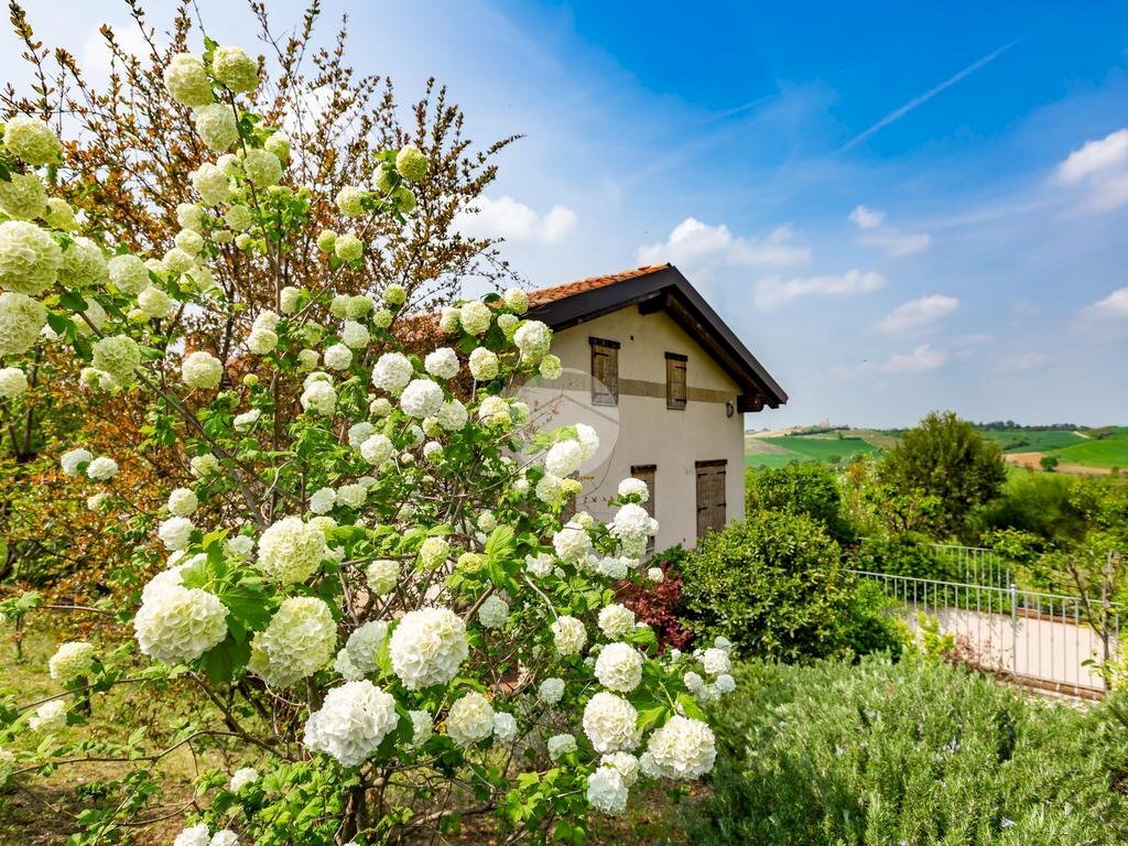 Villa Via Santa Croce, Montemagno - photo 3