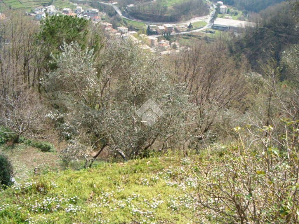 Rustico Via De zerega, Cicagna - foto 1
