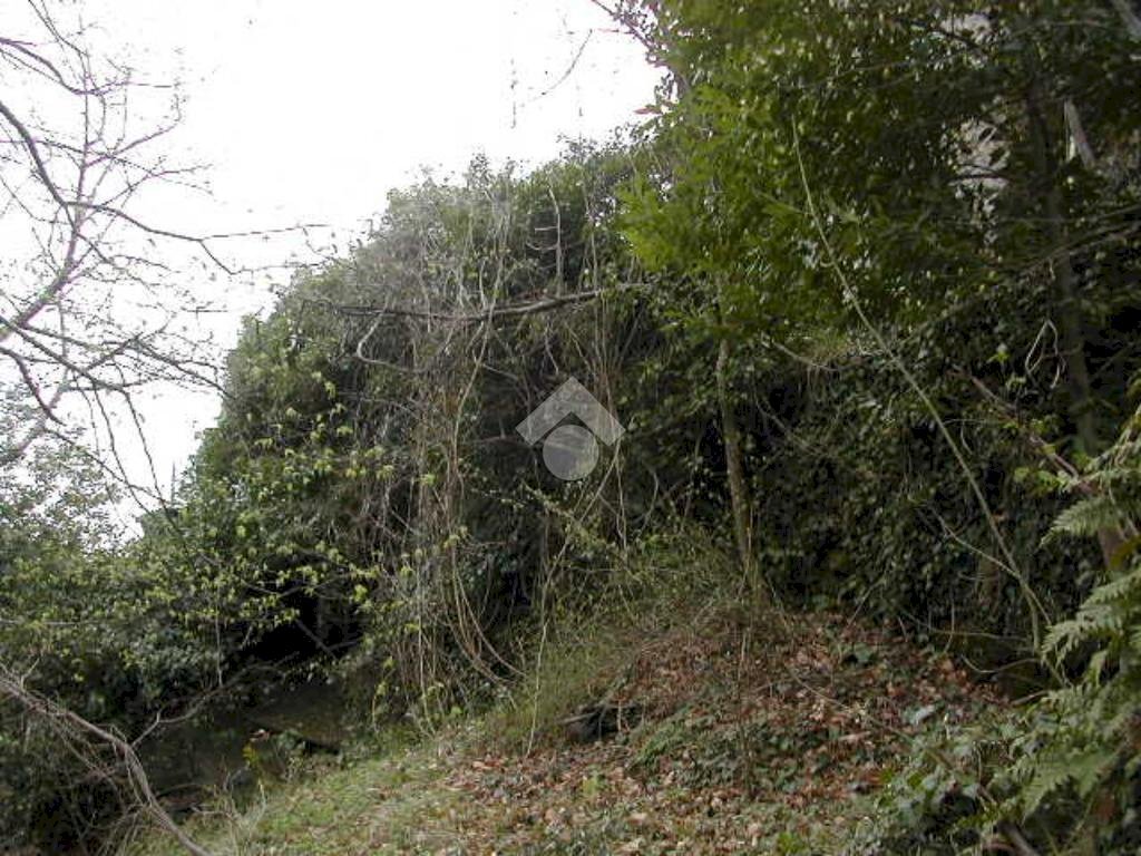 Rustico Via De zerega, Cicagna - foto 2