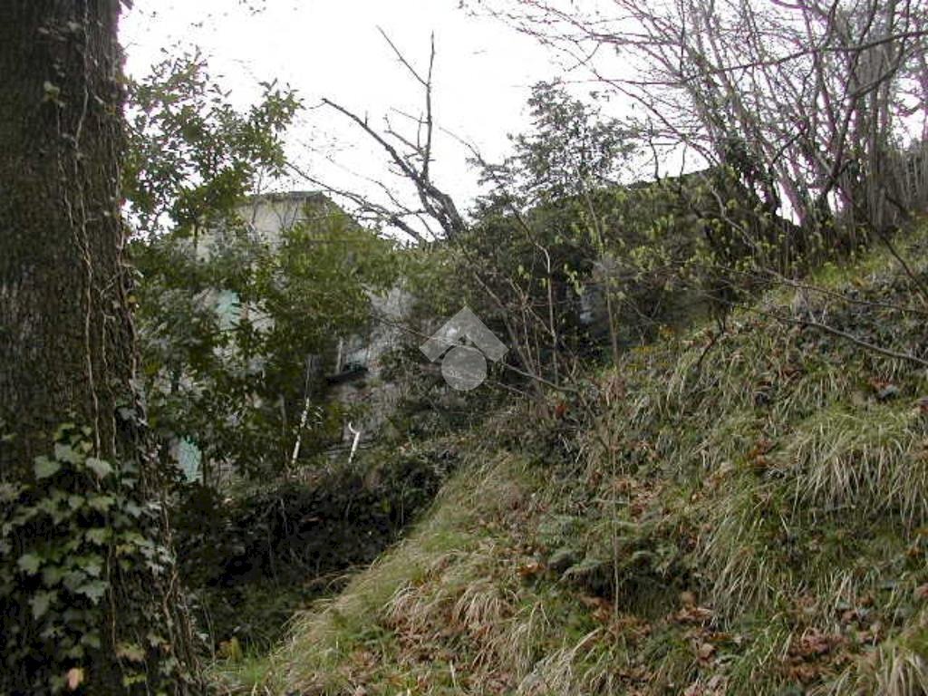 Rustico Via De zerega, Cicagna - foto 3