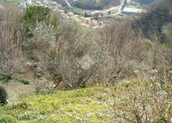 Rustico Via De zerega, Cicagna - foto 1