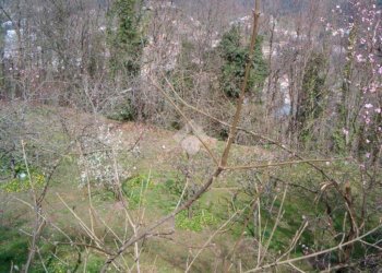 Rustico Via De zerega, Cicagna - foto 7