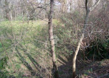 Rustico Via De zerega, Cicagna - foto 8