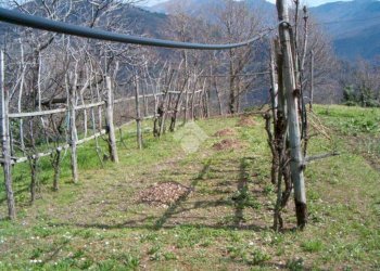 Rustico Via De zerega, Cicagna - foto 10