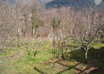 Rustico Via De zerega, Cicagna - foto 14