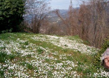 Rustico Via De zerega, Cicagna - foto 15