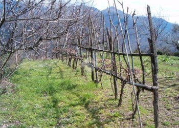 Rustico Via De zerega, Cicagna - foto 16