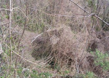 Rustico Via De zerega, Cicagna - foto 17