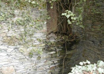 Rustico Via De zerega, Cicagna - foto 18