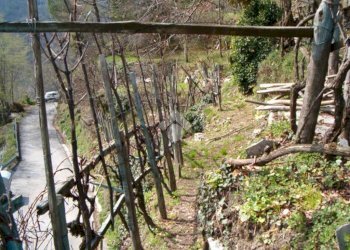 Rustico Via De zerega, Cicagna - foto 21