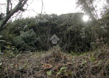 Rustico Via De zerega, Cicagna - foto 22